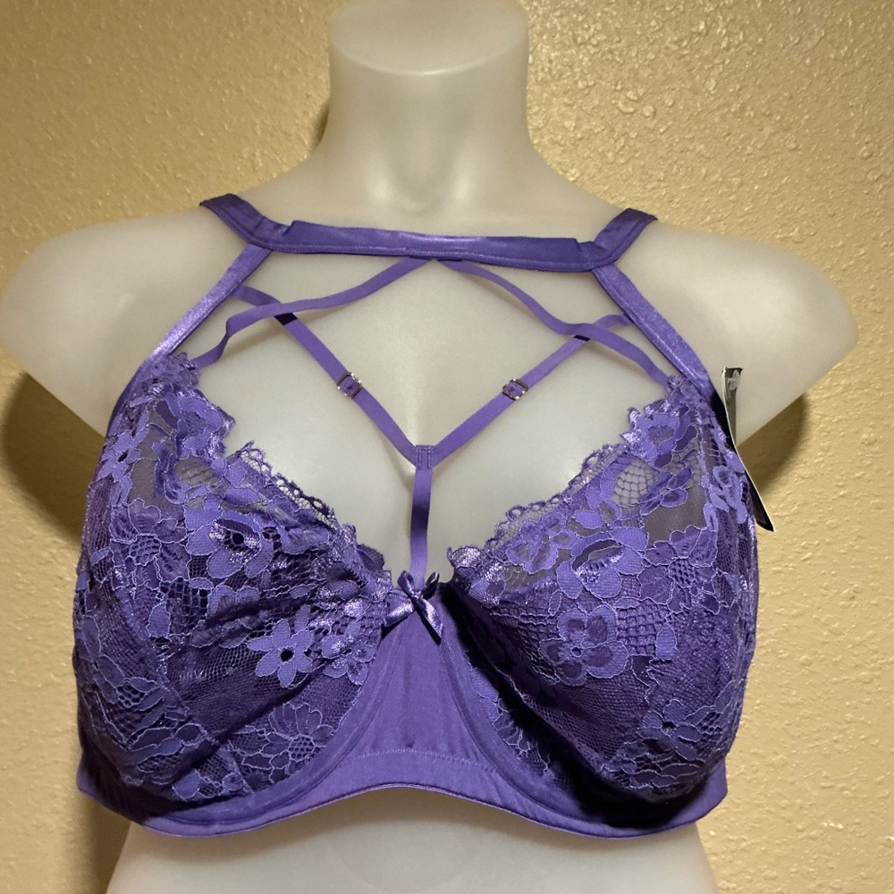 NWT Seriously Sexy Lightly Lined French Balconette 44 DDD